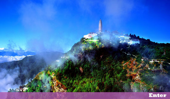 ����ר��