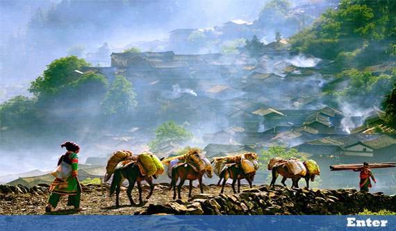 ����ר��