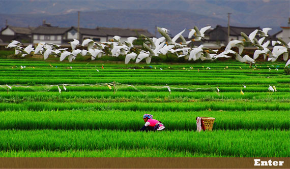 ����ר��