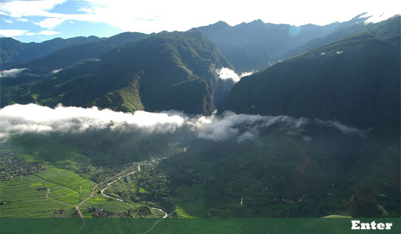 ����ר��