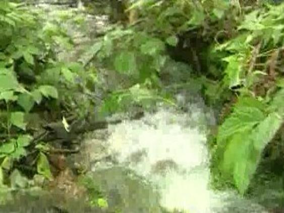 ��С����ˮ���Ĺ���