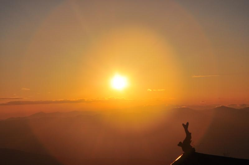 �ٿ���������