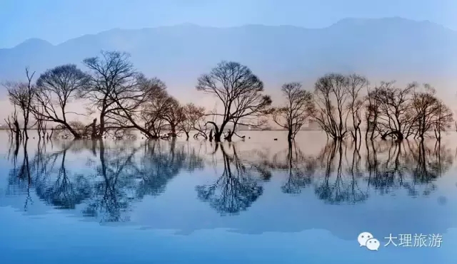 
��������̶ ������ ��