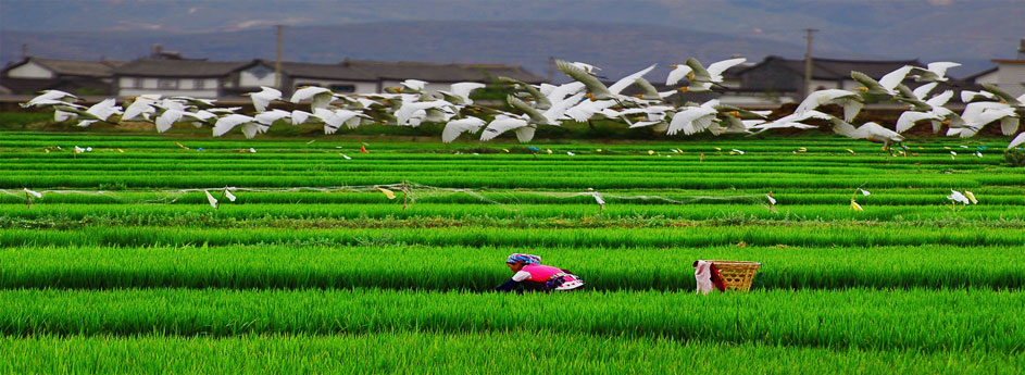 ����������һ��