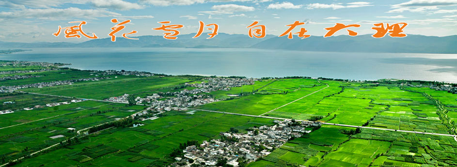 �����飨һ��