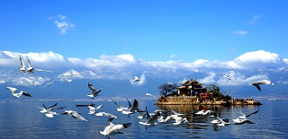 ������MV